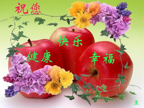 海燕生日快乐,幸福永远!