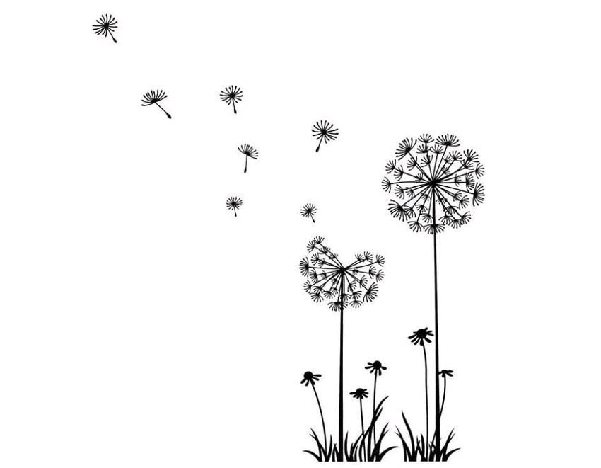 跨境专供蒲公英乙烯基墙贴画壁纸可移除家居装饰客厅wall sticker