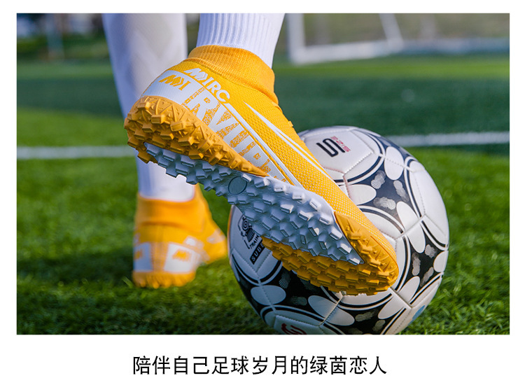 版面2_05.jpg