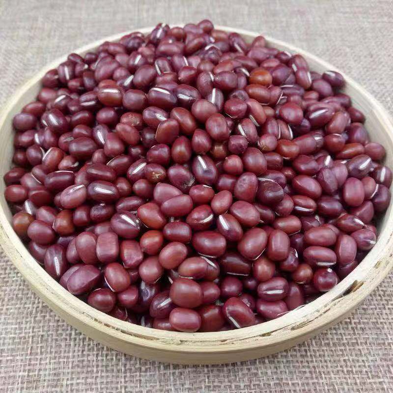 红豆 磨坊原料 一件代发 熟红豆 烘焙红豆 红小豆-阿里巴巴