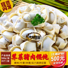 三全快厨荠菜猪肉馄饨 云吞饺子 水饺 早餐汤粉面点500g/袋40个