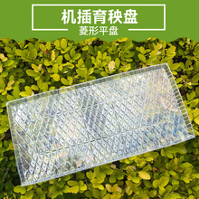 秧盘 水稻育秧盘 插秧机专用秧盘 机插秧育苗盘 7寸九寸育秧平