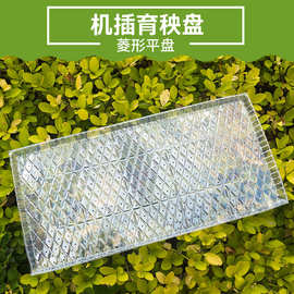 秧盆秧盘机插育平盘软盘水稻苗9寸育苗盘透明加厚pvc插秧机免揭盘