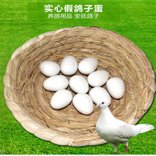 鸽蛋假蛋 引蛋假鸽蛋 塑料假蛋信鸽用品假蛋实心鸽子蛋厂家直销