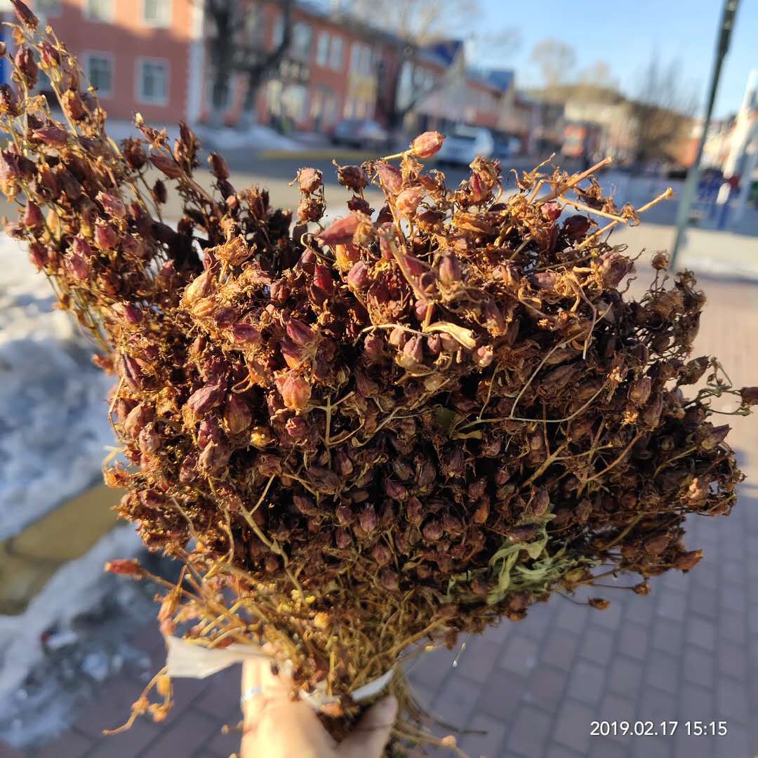 新货东北大兴安岭地区漠河野生稳心草鹿心农家自采泡茶泡酒500克