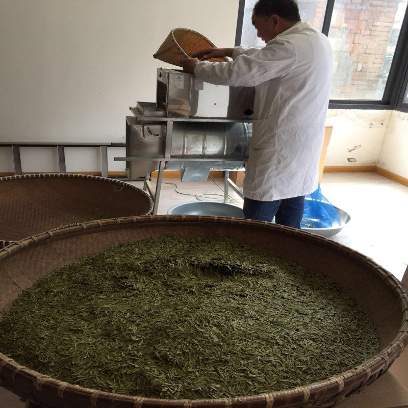 全新上市梅家坞龙井批发散装龙井绿茶春茶豆香浓500克送礼自用茶