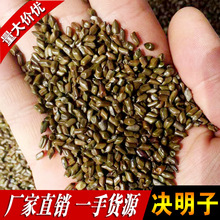 厂家批发 决明子玩具沙大批量  熟决明子茶炒 枕芯充填决明子