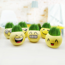 种植长草栽培盆栽青草种植炫酷表情笑脸草娃娃种植DIY陶瓷玩具
