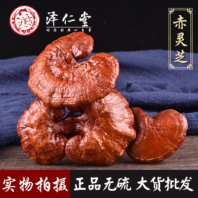 泽仁堂中药材批发 赤灵芝 灵芝个 泡酒料大全 支持药检 一件起批