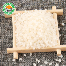 童成 米业大米厂家香南梗农产品稻谷不抛光不打蜡大米梗米批发