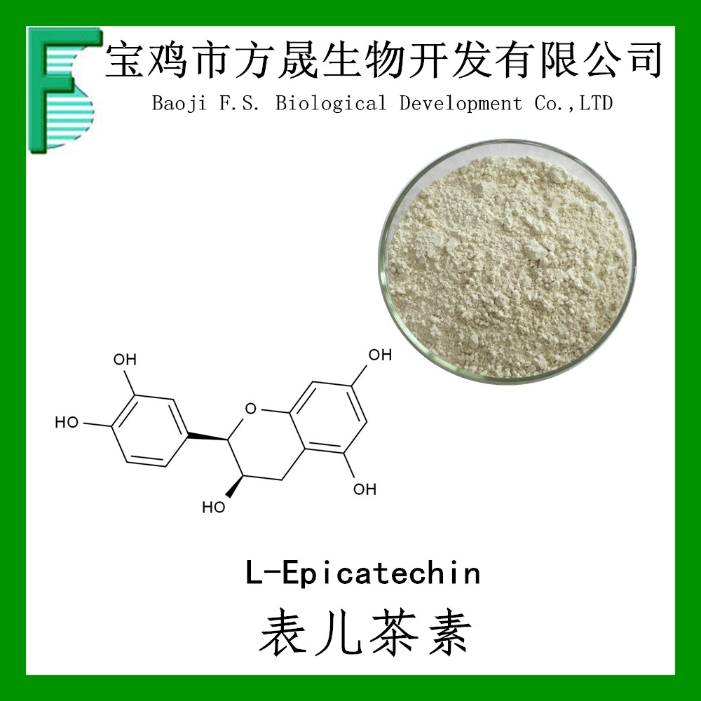 表儿茶素98% 表儿茶素 l