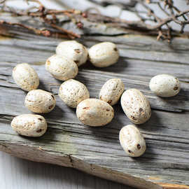 【五眼果】天然植物干燥花白色果实森系花环饰品香包制作干花材料
