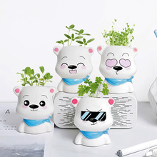 布兜熊草娃娃盆栽创意迷你植物办公室桌面绿植高档包装礼品盒新款
