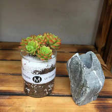 简约北欧ins风多肉水培高硼硅玻璃花盆   盆栽打孔透明玻璃花瓶