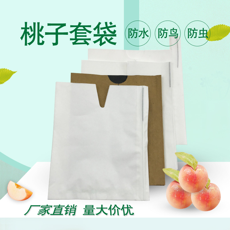 桃子专用套袋 水蜜桃袋 厂家供应  量大从优 育果袋