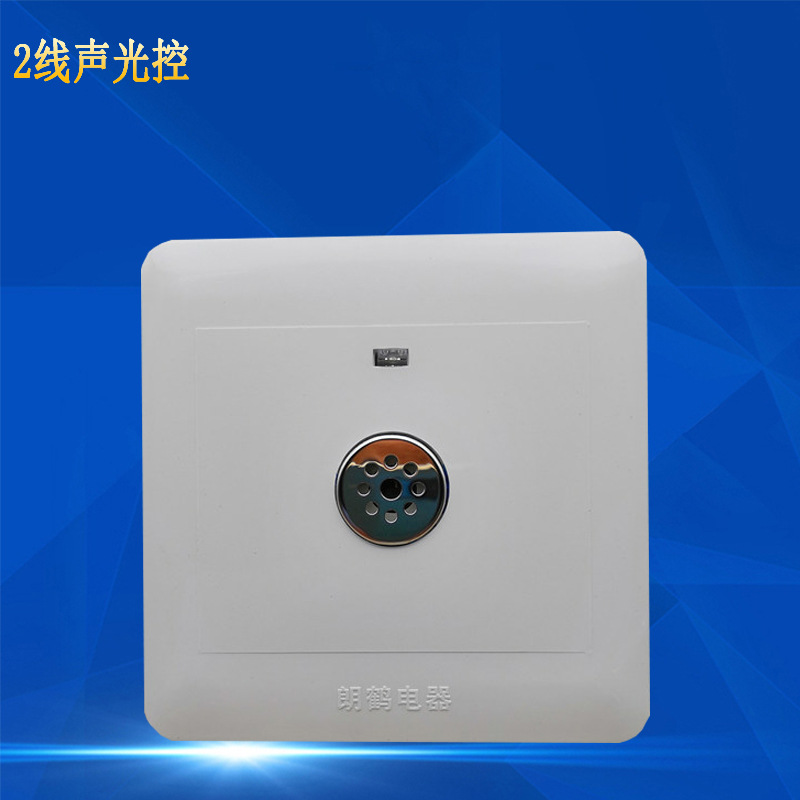 厂家批发朗鹤楼道智能开关 自动控制led节能灯2线声光控延时开关