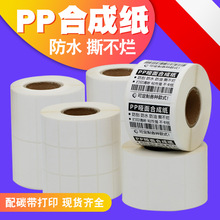 空白PP合成纸不干胶标签纸60*40*30*80*50mm全树脂碳带打印机贴纸