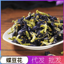 蝶豆花 花粉蓝蝴蝶蓝色花果茶代用茶批发花茶butterflypea