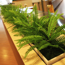 仿真植物绿植背景墙上配材室内装饰蕨类植物波斯叶塑料假草叶子