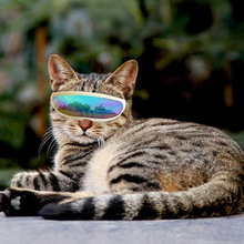 宠物眼镜狗狗用品护目镜防水防风防晒防紫外线猫咪眼镜厂家批发
