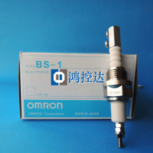 全新原装正品OMRON欧姆龙电极BS-1