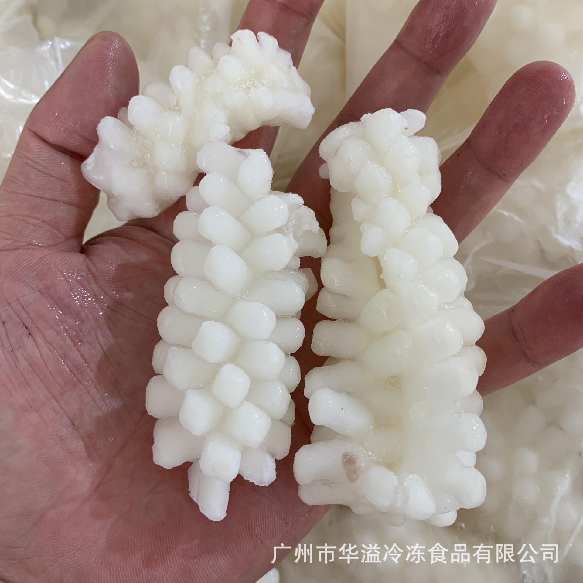 冷冻目鱼花 鱿鱼花 14斤/件 速冻鱿鱼花 目鱼花 鱿鱼肉-阿里巴巴