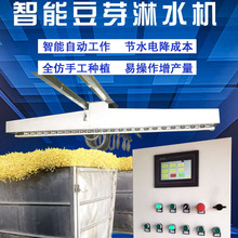 鑫圣阳光豆芽淋水线  销售豆芽淋水线设备 豆芽孵化洒水机器