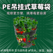 PE悬挂式草莓植物种植袋吊篮家庭花园创意吊式倒立天空悬挂式花盆