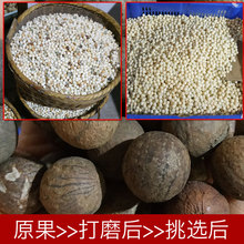 厂家批发白玉菩提108颗佛珠念珠白菩提根原籽手串情侣手链饰品