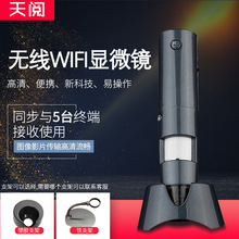 生产厂家批300万像素600倍WiFi数码显微镜 灰指甲检测 皮肤检测仪