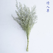 情人草干花花束云南干花鲜花花束永生花情人草干花批发拍摄道具