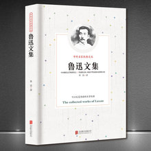 中外名家经典文丛《鲁迅文集》现代文学小说杂文新版典藏正版书籍