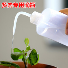 多肉植物弯嘴浇水壶500ml 挤压式生态瓶滴瓶洗瓶