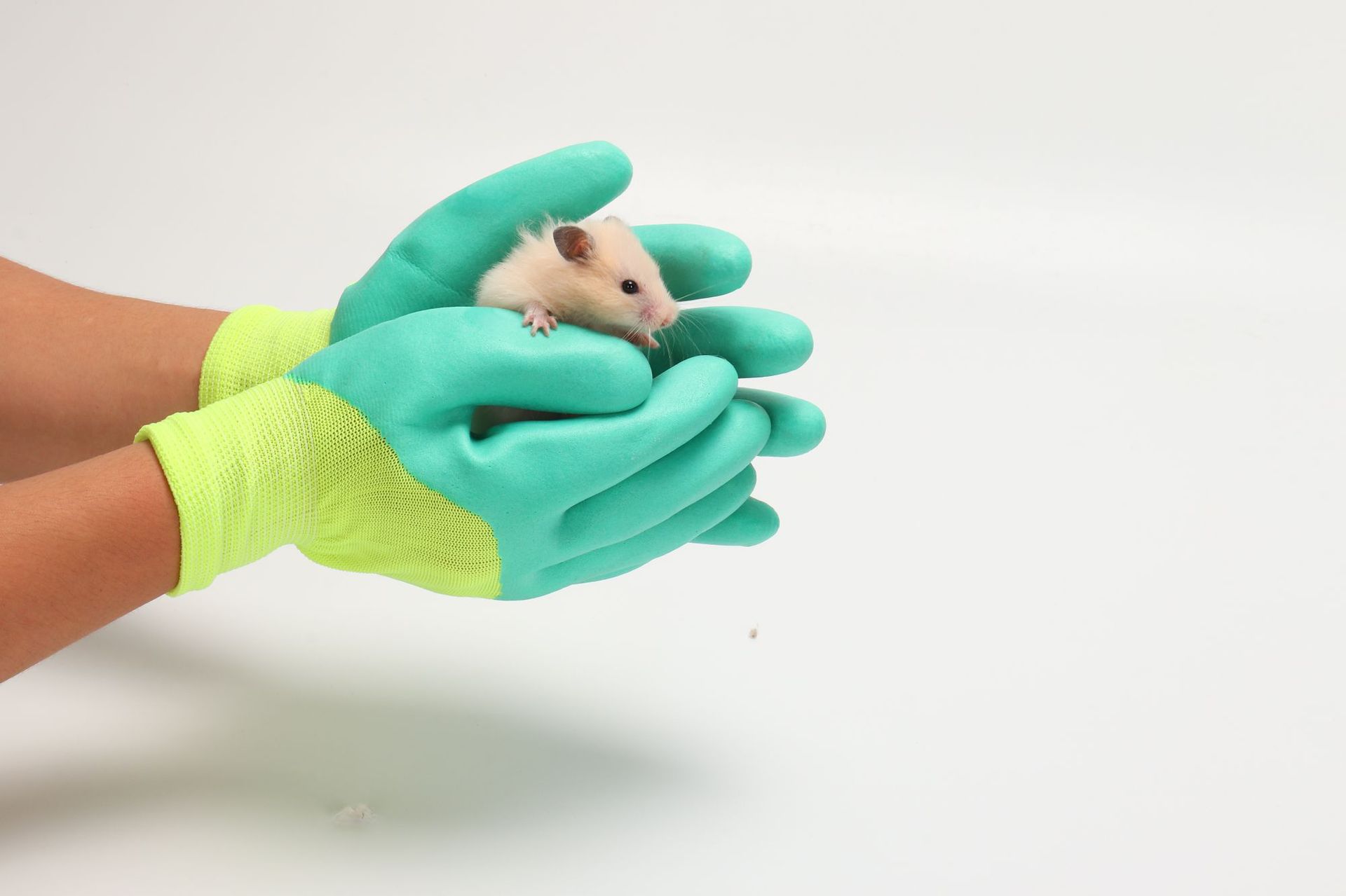 仓鼠防咬手套 训练小宠手套 金丝熊训练手套 仓鼠用品批发