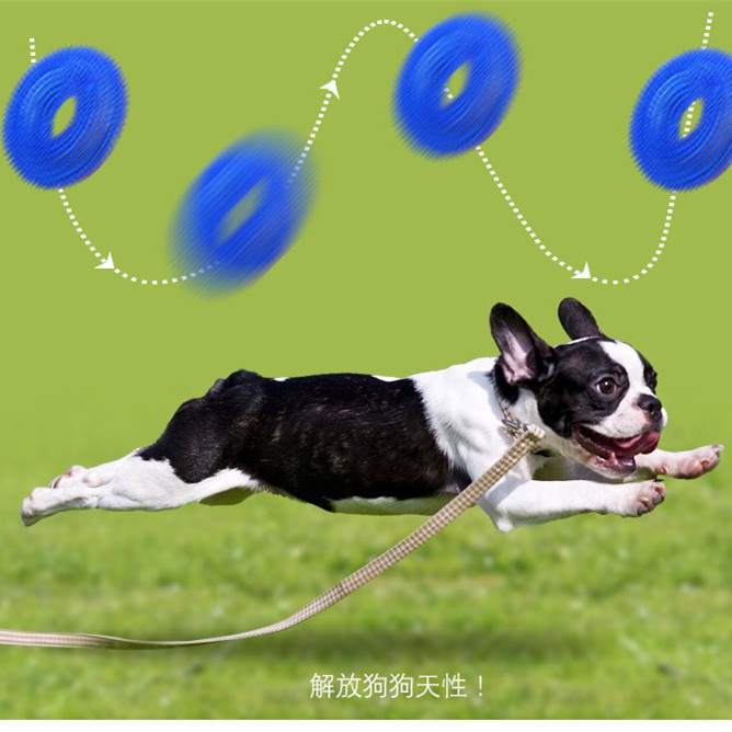 Cross-Border Hot Products Bite-Resistant Vocalization Barbed Ring Tpr Toy Large Dog Dog Toy Tooth Cleaning Molar Pet Ball