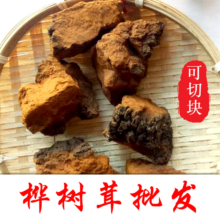 厂家批发大块白桦茸 包邮食用菌类桦树茸低价批发可切块 诚招代理