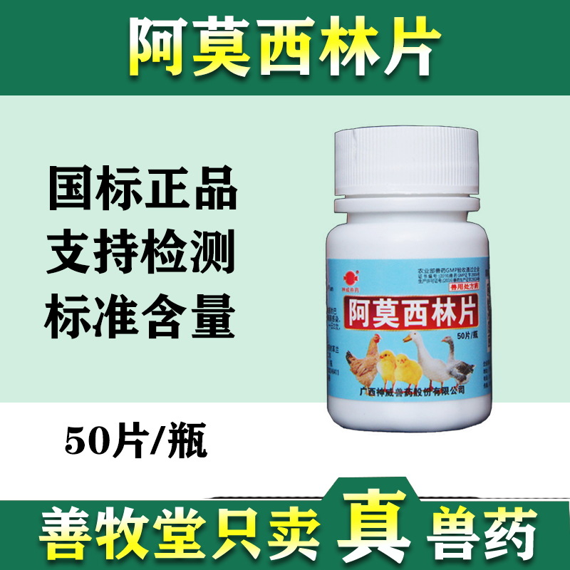 兽药阿莫西林片宠物猫狗犬抗炎药感冒发烧50片鸡药鸽子鸟药 批发-阿里