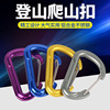 multi-function Stainless steel Carabiner knapsack Hanging buckle Metal D word deduction D-type buckle Kettle buckle wholesale multi-function Stainless steel Carabiner knapsack Hanging buckle Metal D word deduction D-type buckle Kettle buckle wholesale