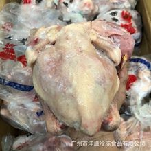 三黄鸡冷冻整鸡去内脏光鸡春鸡脆皮鸡炸鸡西装鸡清远鸡14只19斤