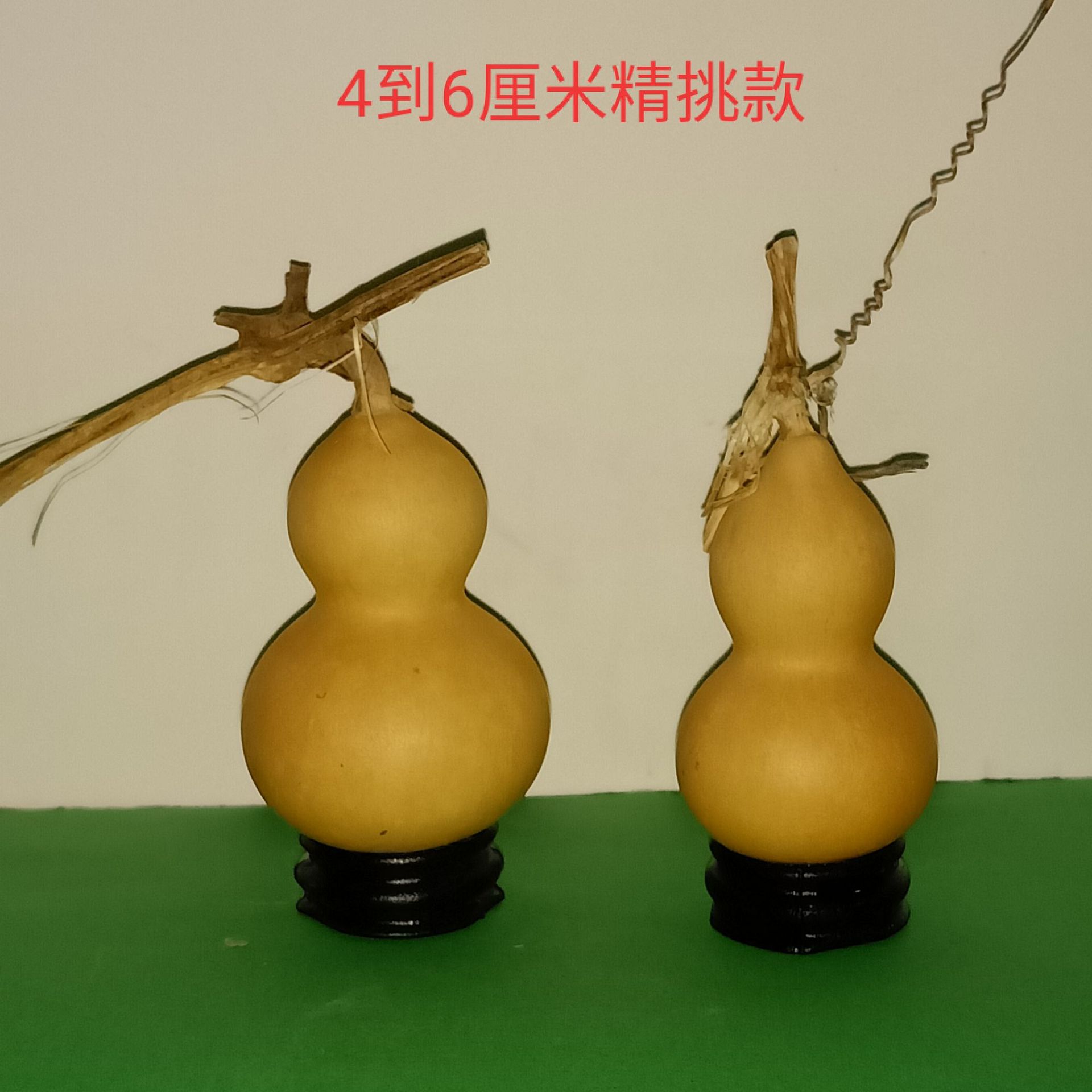 产地批发天然葫芦 小手捻葫芦 美国小葫芦 4到7厘米新葫芦-阿里巴巴