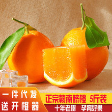 赣南脐橙5斤装大果 新鲜水果江西赣州脐橙现摘橙子批发