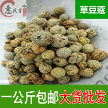 草豆蔻 老寇草扣 大草寇 草寇仁 草豆蔻 草寇 一公斤  初级农产品