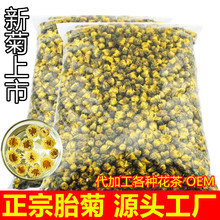 菊花茶胎菊王特非桐乡杭白菊级散装花茶500g厂家直销贡菊胎米