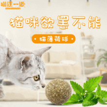 猫薄荷球猫零食薄荷球 磨牙齿猫玩具薄荷球 厂家供应