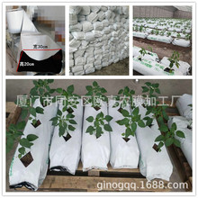厂家销售黑白种植袋 装椰糠种植条 番茄黄瓜无土栽培生长条