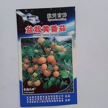 厂家批发 盆栽黄番茄20粒/袋 食用兼观赏