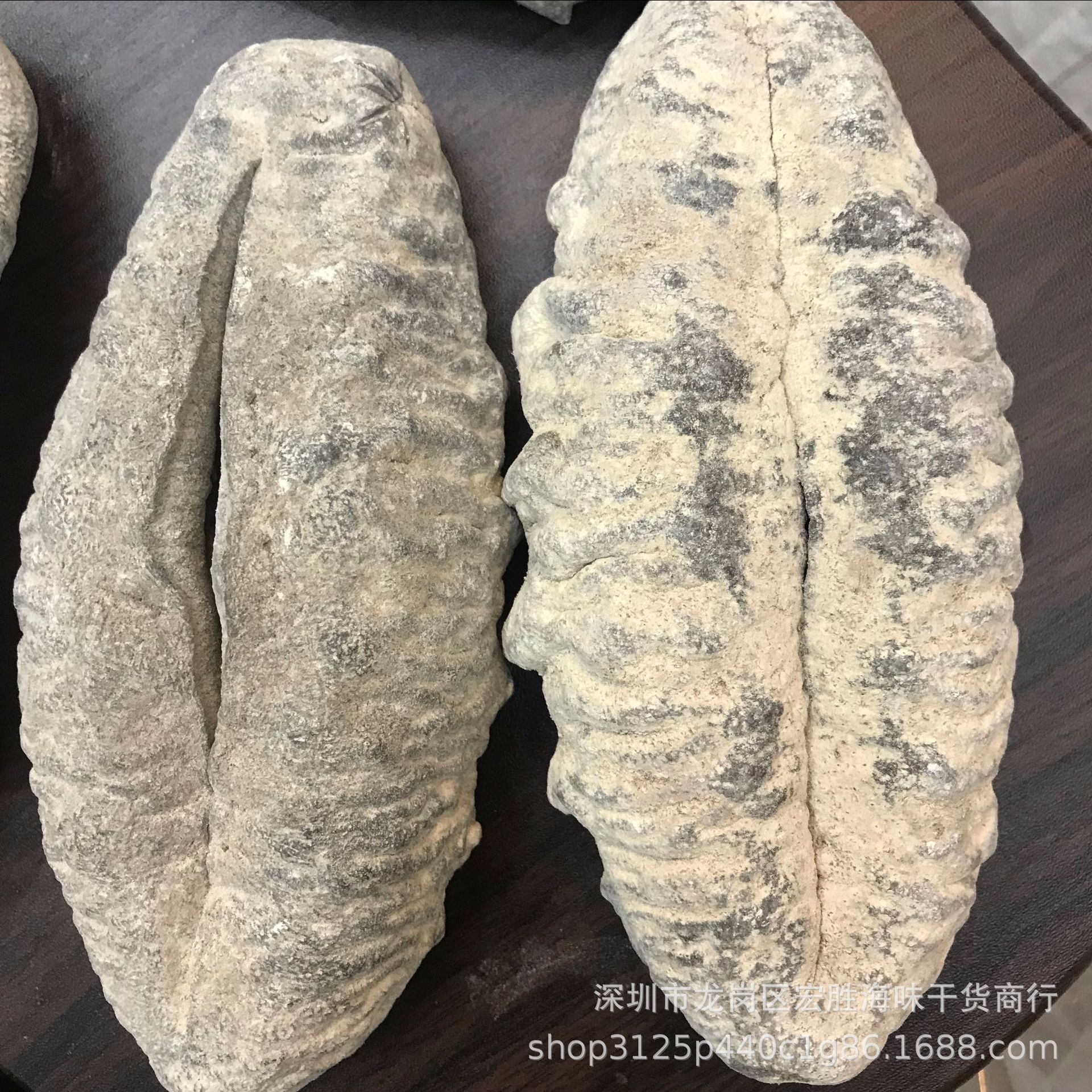 2头左右非洲猪婆参 深海白猪参白石参 淡干海参干货