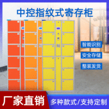 直销公检法单位指纹存包柜 指纹柜 贵重物品保管柜 超市寄存柜