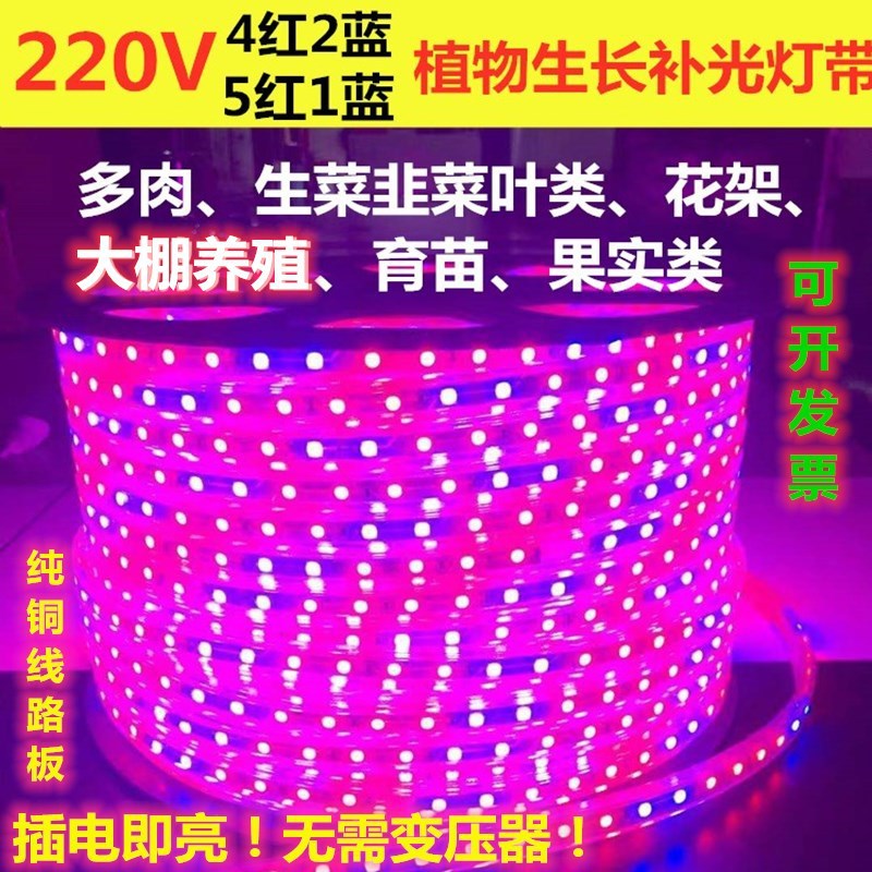 220V5050植物补光LED灯带 220V植物生长LED灯条 花架多肉育苗大棚