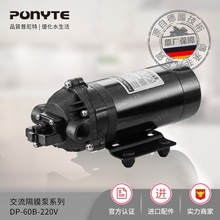 厂家直销 DP-60 220V微型水泵  展台专柜自吸循环隔膜泵